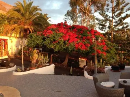 Finca Alcala Tota, Maison 22 personnes à Playa San Juan - Photo 44