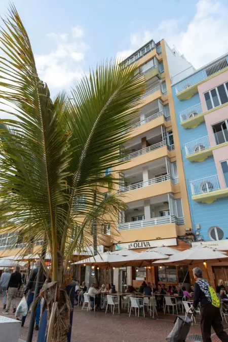 Appartement mit Blick auf das Meer, Appartement 3 personnes à Las Palmas - Photo 34