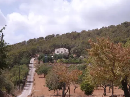 Finca Es Cau, mit Schwimmbad, Meerblick und Wifi - Photo 40