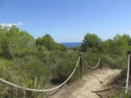 Villa Ses Ancores - 300 meter vom Strand, Maison 6 personnes à Sa Coma - Photo 36