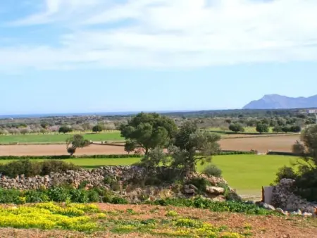 Finca Saraix bei Santa Margalida, Maison 8 personnes à Santa Margalida - Photo 10