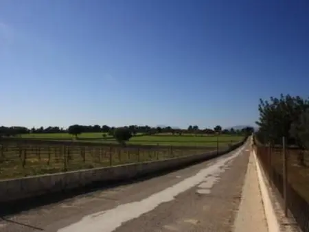 Ländliche Finca mit eigenem Schwimmbad, Maison 8 personnes à Santa Margalida - Photo 17