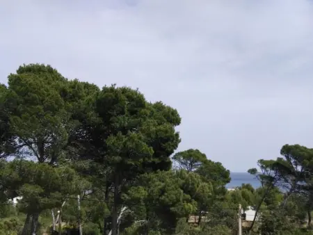 in Pedruscada mit Privatem Pool, Maison 6 personnes à Cala Ratjada - Photo 21