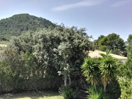 in Pedruscada mit Privatem Pool, Maison 6 personnes à Cala Ratjada - Photo 22