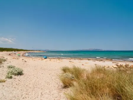 Ferienvilla in Strandnähe, Maison 8 personnes à Son Serra de Marina - Photo 36