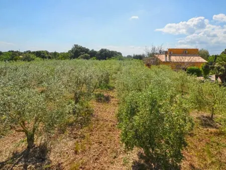 Sini, Maison 6 personnes à Búger - Photo 26