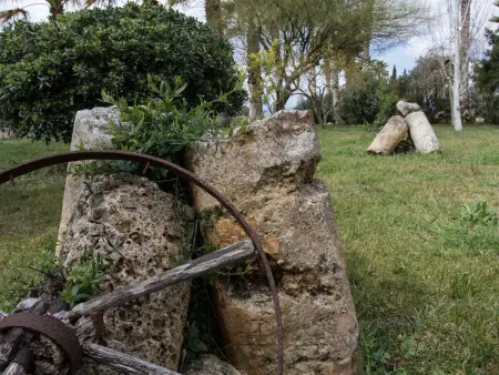 Finca 'Son Cladera in Muro', Maison 7 personnes à Can Picafort - Photo 38