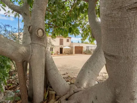 Finca 'Son Cladera in Muro', Maison 7 personnes à Can Picafort - Photo 39