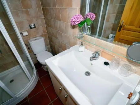 Landhaus im Berg von Leon, Appartement 4 personnes à Benllera - Photo 27
