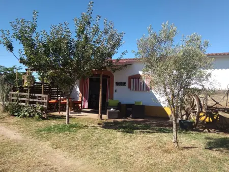 Finca  El Chorrillo  mit gemeinschaftlichem Pool - Photo 20