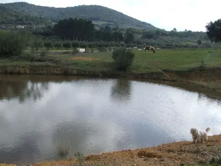 Finca  El Chorrillo  mit gemeinschaftlichem Pool - Photo 24