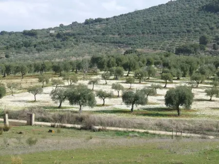 Finca  El Chorrillo  mit gemeinschaftlichem Pool - Photo 28