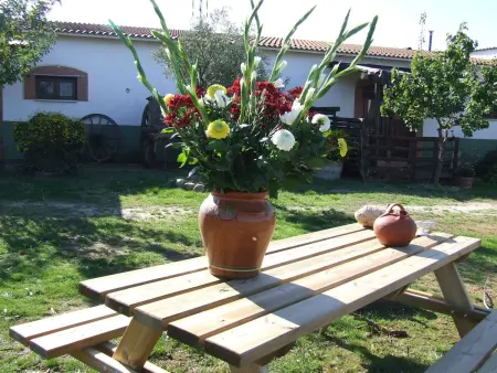 Finca El Chorrillo Studio, Appartement 2 personnes à Alcuescar - Photo 19