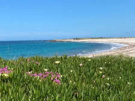 Vakantievilla  Les Prés Salés  (Die gesalzenen Wiesen) - Photo 24
