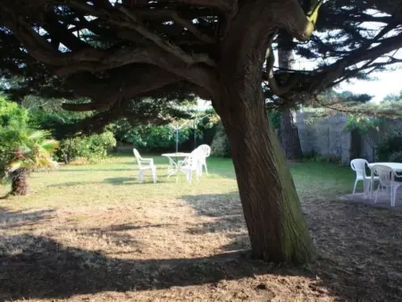 Hiltbrunner, Maison 13 personnes à Quiberon - Photo 41