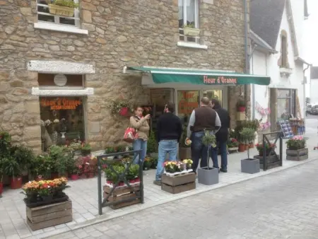 Hiltbrunner, Maison 13 personnes à Quiberon - Photo 47