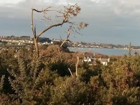 Ty Saoson  mit Blick auf das Wasser, Maison 4 personnes à Santec - Photo 33
