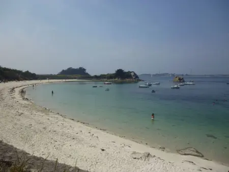 Die Ruhe des Landes am Meer in einer Region mit Gemüseanbau - Photo 16