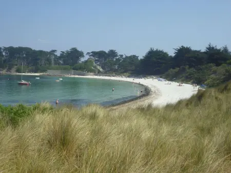 Die Ruhe des Landes am Meer in einer Region mit Gemüseanbau - Photo 17