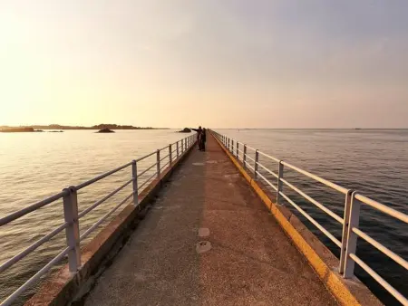 Die Ruhe des Landes am Meer in einer Region mit Gemüseanbau - Photo 19