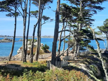 Die Ruhe des Landes am Meer in einer Region mit Gemüseanbau - Photo 35