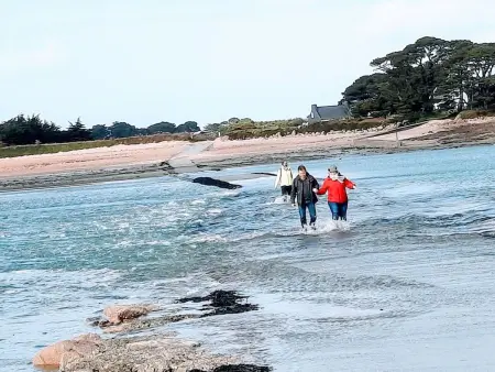 Die Ruhe des Landes am Meer in einer Region mit Gemüseanbau - Photo 41