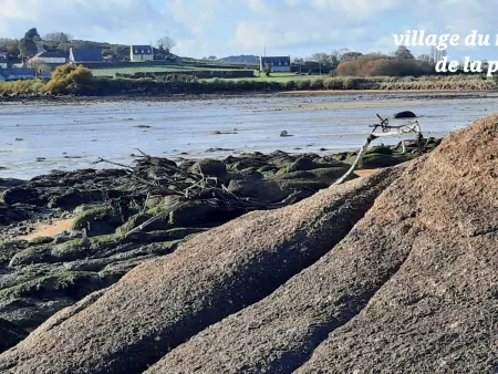 Die Ruhe des Landes am Meer in einer Region mit Gemüseanbau - Photo 46