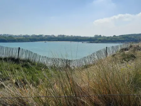 Die Ruhe des Landes am Meer in einer Region mit Gemüseanbau - Photo 54