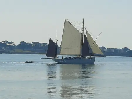 Die Ruhe des Landes am Meer in einer Region mit Gemüseanbau - Photo 58