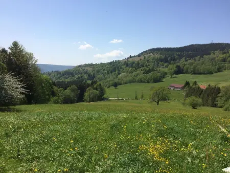 Domaine  Les Vieilles  mit Terrasse und Garten, Maison 6 personnes à Saulxures sur Moselotte - Photo 12