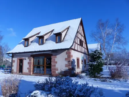 Domäne mit Terrasse, Grill und Garten, Maison 12 personnes à Neuwiller lès Saverne - Photo 2
