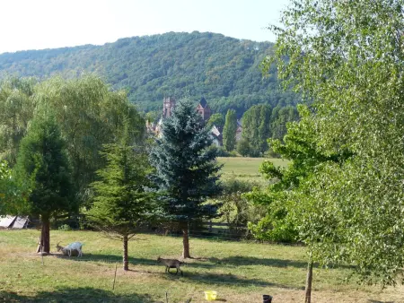 Domäne mit Terrasse, Grill und Garten, Maison 12 personnes à Neuwiller lès Saverne - Photo 20