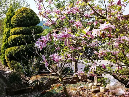 Ruhiges Ferienhaus mit Garten an der Weinstraße - Photo 39