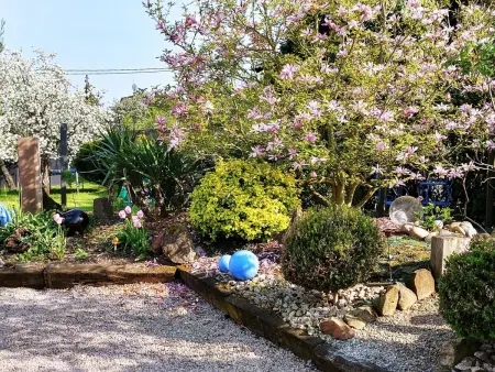 Ruhiges Ferienhaus mit Garten an der Weinstraße - Photo 41