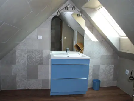 mit Gemeinschaftsgarten und Grill, Maison 8 personnes à Wintzenheim - Photo 14