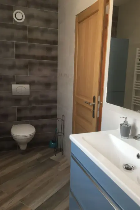 das haus von oben, Maison 4 personnes à Wintzenheim - Photo 16