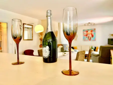 in Trèbes mit Großem Garten, Maison 6 personnes à Trèbes - Photo 19