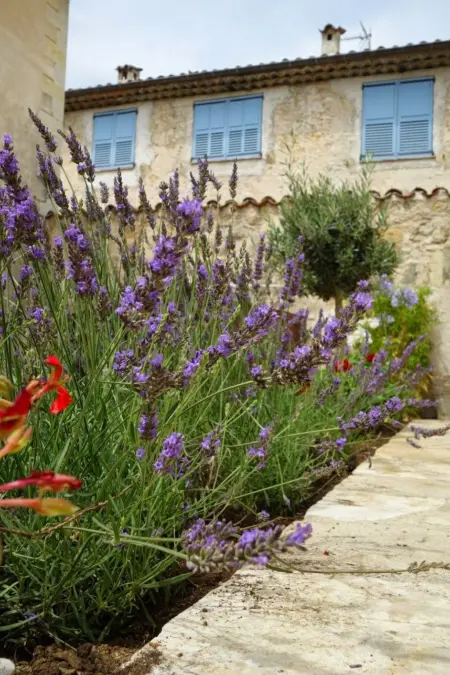 SCHÖNES STUDIO MIT GARTEN FÜR 2 IM DORF, Appartement 2 personnes à Valbonne - Photo 29
