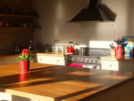 Ferienvilla  Claux de Bouscou, Maison 18 personnes à Puylagarde - Photo 13