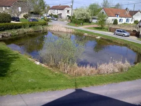 Haus im Herzen eines landwirtschaftlichen Betriebs - Photo 2