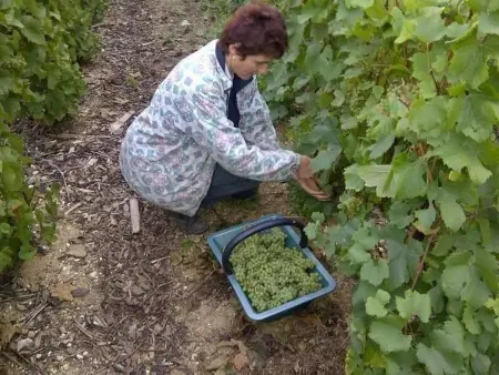 Haus im Herzen eines landwirtschaftlichen Betriebs - Photo 15