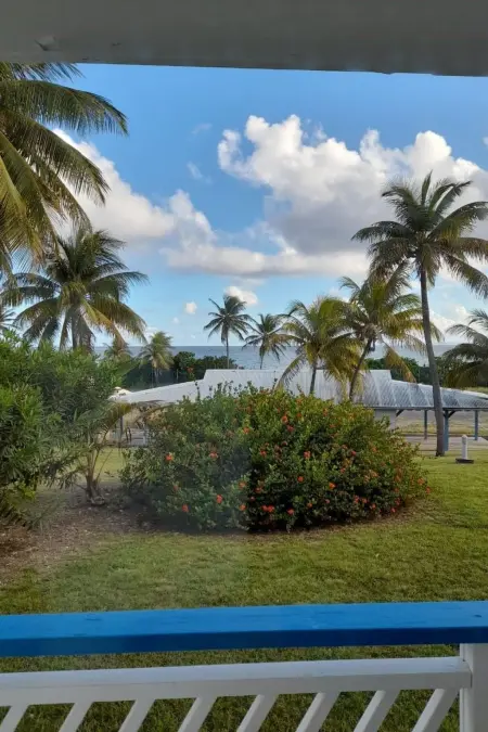 Appart mit Meerblick, Pool und Strand 150m entfernt - Photo 30