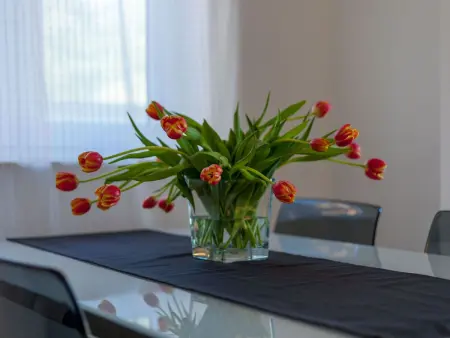 für 4 Personen ca. 46 m&sup2; in Podstrana, Dalmatien (Gespanschaft Split-Dalma - Photo 13