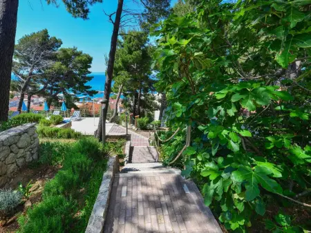 Schöne Ferienwohnung mit Meerblick, Appartement 3 personnes à Baška Voda - Photo 10