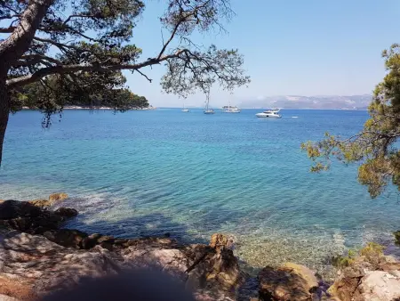 mit Blick auf das Wasser, Appartement 6 personnes à Dubrovnik Cavtat - Photo 25