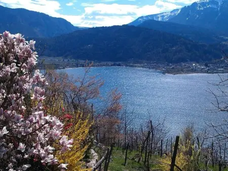 Wohnung in Levico Terme mit Privatparkplatz, Appartement 2 personnes à Levico Terme - Photo 27