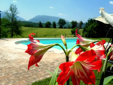 Iris in Cagli, Appartement 2 personnes à Cagli - Photo 12
