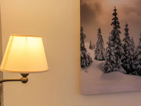 Les Girolles B15, Chalet 4 personnes à Villars - Photo 21