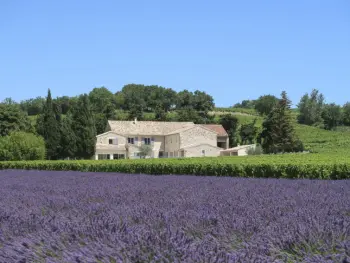 Maison à Visan,La Machotte FR8096.650.1 N°814629