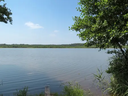 Côté du Lac, Maison 3 personnes à Soustons - Photo 16